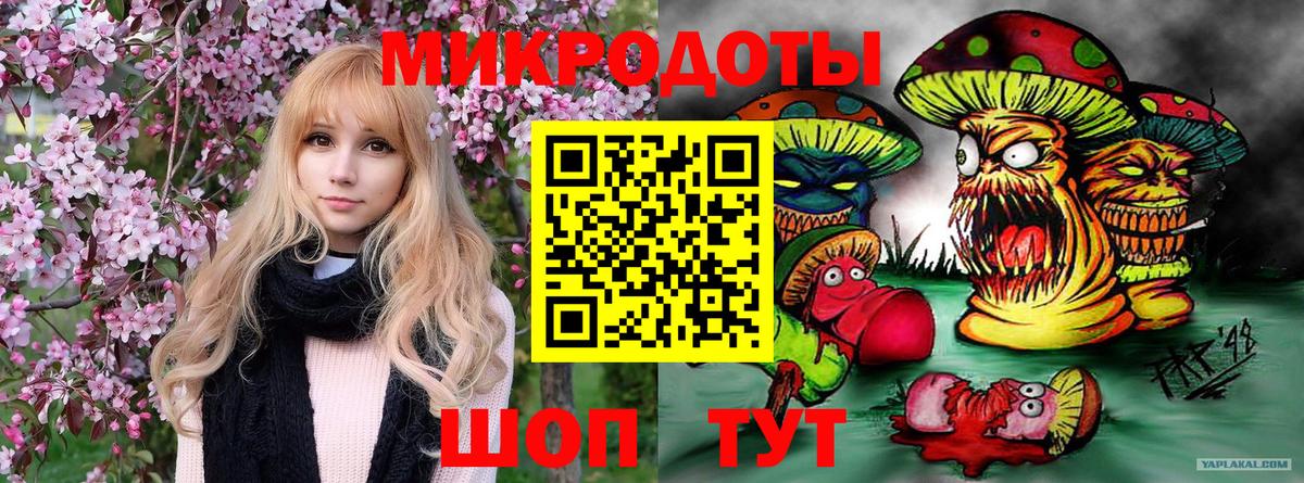 Галлюциногенные грибы Magic Shrooms Прокопьевск