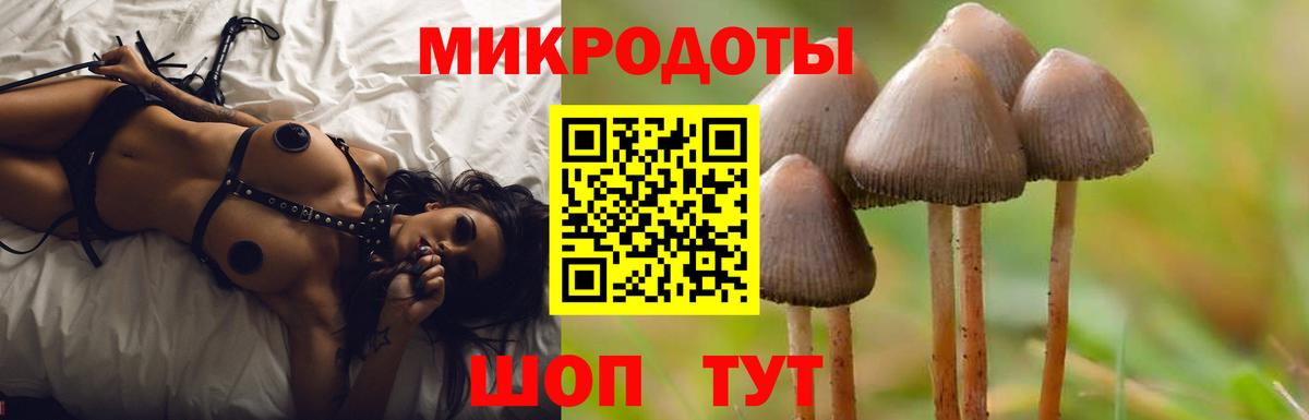Галлюциногенные грибы Psilocybine cubensis  Галлюциногенные грибы мицелий  где купить наркотик  Вход с VPN  Прокопьевск 